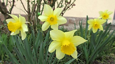 img-2209-1.jpg