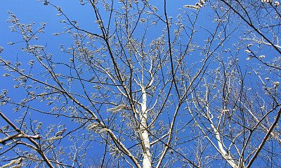 img-2239.jpg