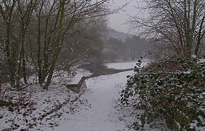 img-2242.jpg