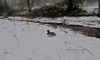 img-2254.jpg