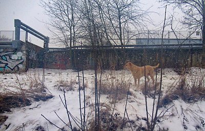 img-2265-1.jpg