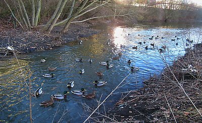 img-2384-3.jpg