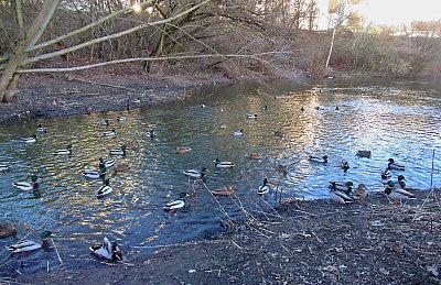 img-2385.jpg