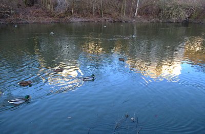img-2398.jpg