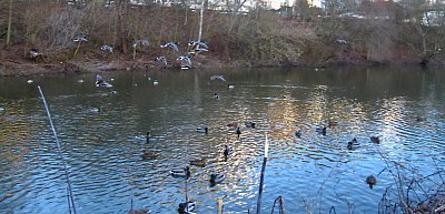 img-2402.jpg