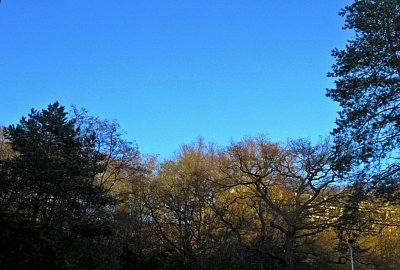 img-2421.jpg