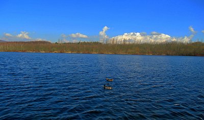 img-2707.jpg