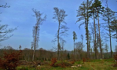 img-2974.jpg
