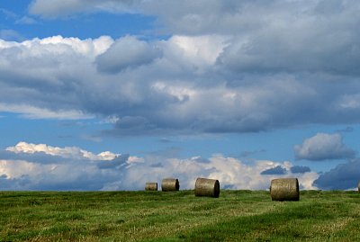 img-3004.jpg