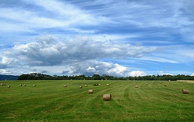 img-3027-2.jpg