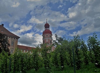 img-3111.jpg