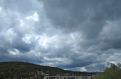 img-3127-1.jpg