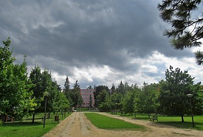 img-3136.jpg