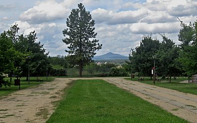 img-3139.jpg