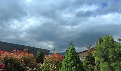 img-3311-1.jpg