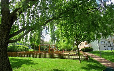img-3354-3.jpg