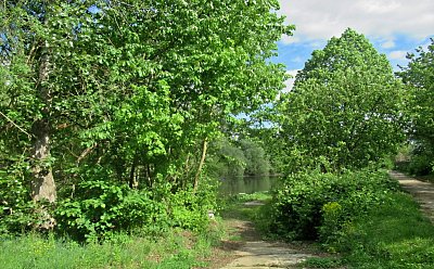img-3365-5.jpg