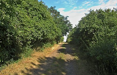 img-3406-1.jpg