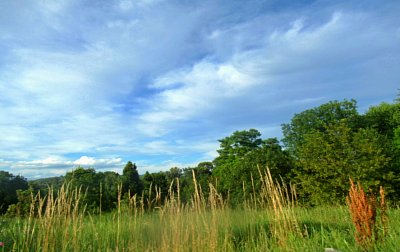 img-3507-1.jpg