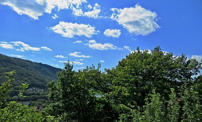 img-3536.jpg