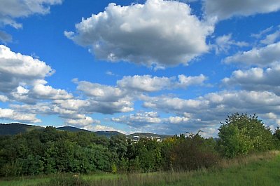 img-3811.jpg
