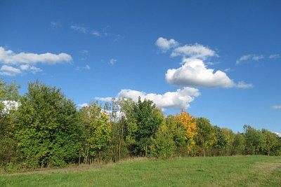 img-3915.jpg