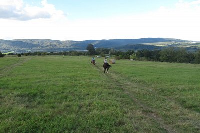 img-3933.jpg