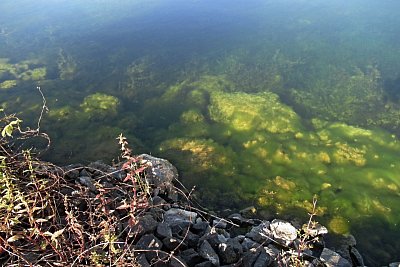 img-4014.jpg