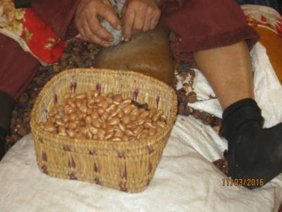 img-4183.jpg