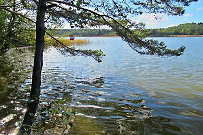 img-4739.jpg