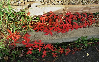 img-4873-2.jpg