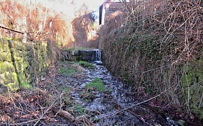 img-4963-2.jpg