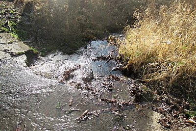 img-4966.jpg