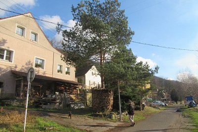 img-4995-1.jpg