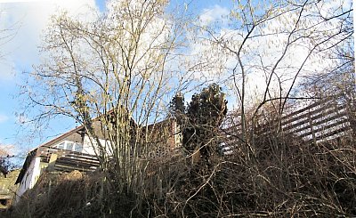 img-5013-2.jpg