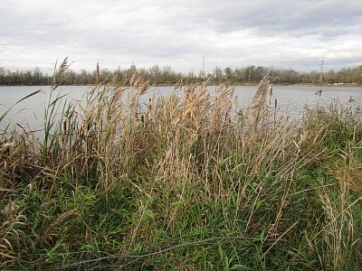 img-5146.jpg