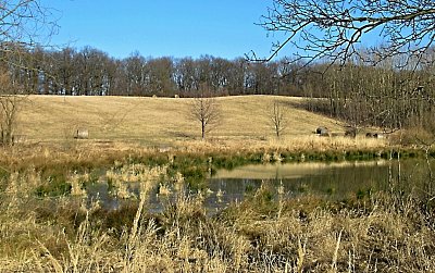 img-5306.jpg