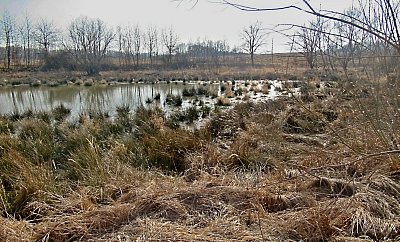 img-5582-2.jpg