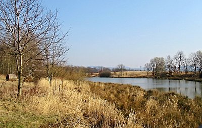 img-5584-2.jpg