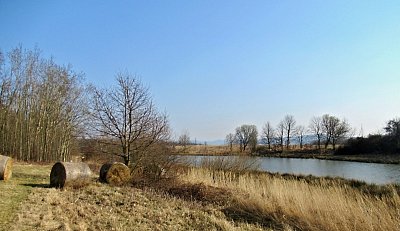 img-5593-2.jpg
