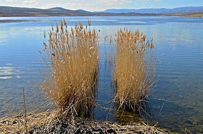 img-5937-2.jpg