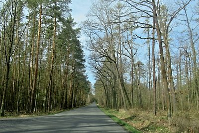 img-6005-2.jpg