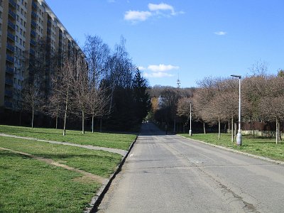 img-6351.jpg