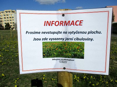 img-6355.jpg