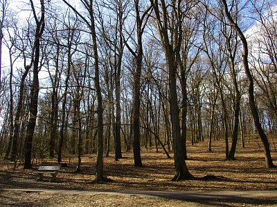 img-6371.jpg