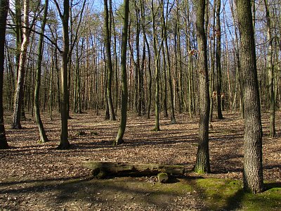 img-6375.jpg
