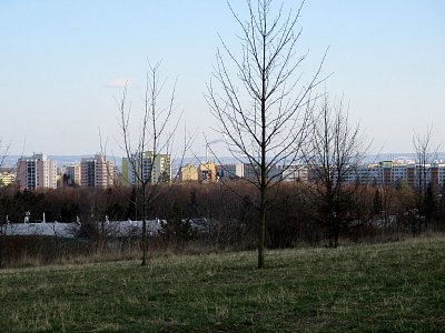 img-6437.jpg