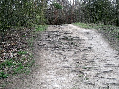 img-6440.jpg