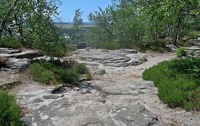 img-6894-1.jpg