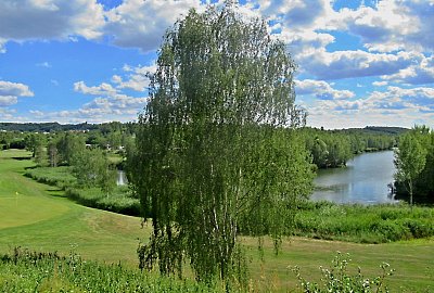 img-6965-1.jpg